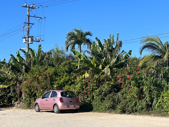 気まぐれドライブ旅
