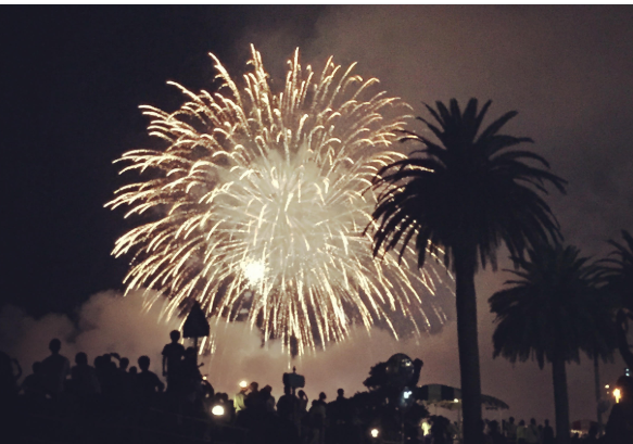 10月24日（土）開催「東京湾大華火祭」—再始動の花火が秋の夜空を照らす